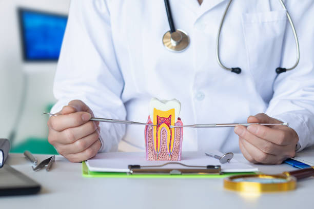 Best Pediatric Emergency Dentist in Benwood, WV